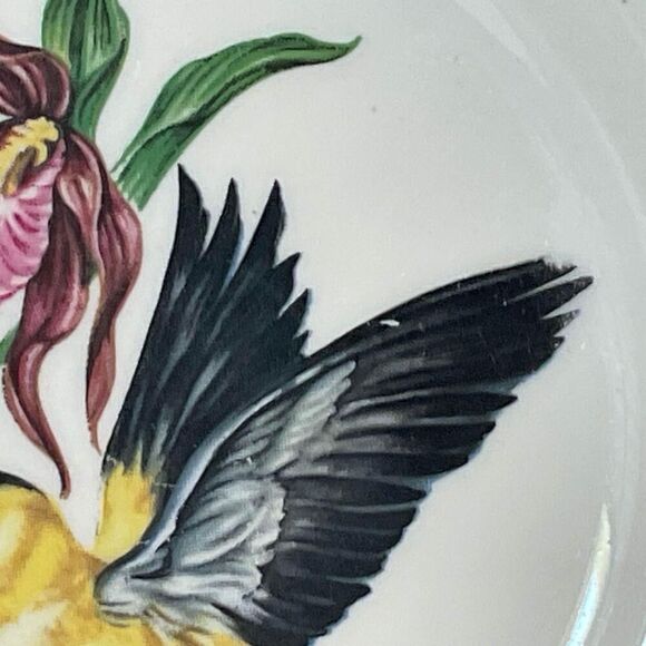 SCHUMANN Arzberg Bavaria Bird Plates Gold Rimmed American Goldfinch 8” Vintage - Picture 7 of 11